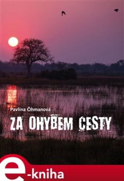 Za ohybem cesty - Pavlína Öhmanová e-kniha