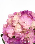 House Doctor Umělá květina Hydrangea 50 cm, růžová barva, plast