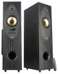 Fenda FD T-35X černá / Reproduktory / 2.0 / 80W / BT / USB / RCA / OPT / FM (T-35X)