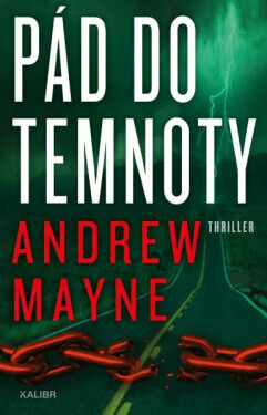 Pád do temnoty (poškozená) - Andrew Mayne