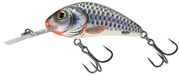 Salmo Wobler Rattlin Hornet Floating 5,5cm - Silver Holographic Shad,Salmo Wobler Rattlin Hornet Floating 5,5cm - Silver Holographic Shad