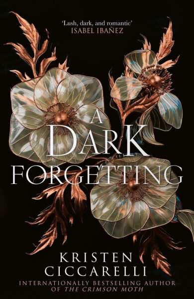 A Dark Forgetting - Kristen Ciccarelli