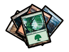 MTG: Land Station 2011