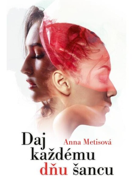 Daj každému dňu šancu (e-kniha) - Anna Metisová