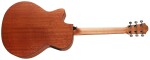 Furch Blue Master's Choice Gc-CM CNR Active
