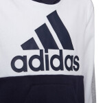 Mikina adidas Colorblock Fleece Jr HC5659