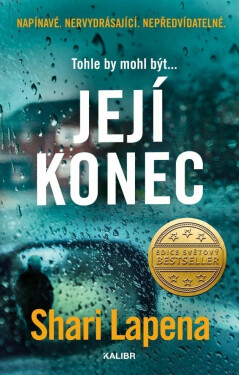 Její konec (poškozená) - Shari Lapena