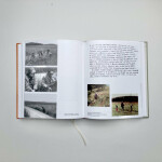 Lemuria na dosah - Daisy Mrázková