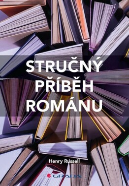 Stručný příběh románu