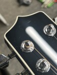 Takamine EF381SC (použité)