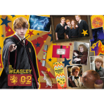 Puzzle Harry Harry Ron, Hermiona