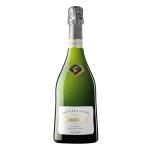 Codorníu Raventos Cava Non Plus Ultra Reserva 2023 brut 11.5% 0.75 l (8410013011016)