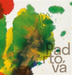 Padrtová Ludmila Krajinou abstrakci Zdenek Primus