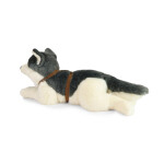 Plyšový pes husky s obojkem ležící 60 cm ECO-FRIENDLY