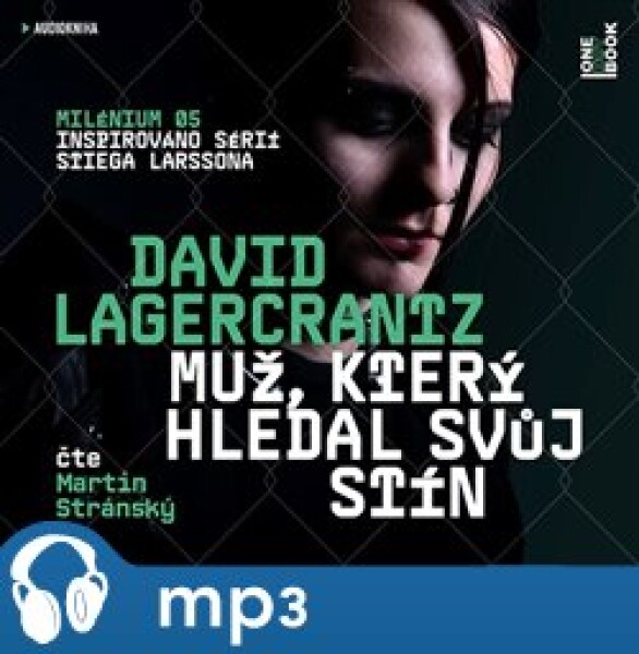 Muž, který hledal svůj stín, David Lagercrantz