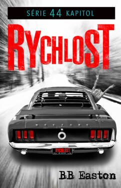 Rychlost (poškozená) - BB Easton