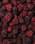 Vilgain Ostružiny lyofilizované – 130 g