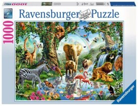 Ravensburger Dobrodružství džungli