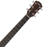 Taylor 24ce