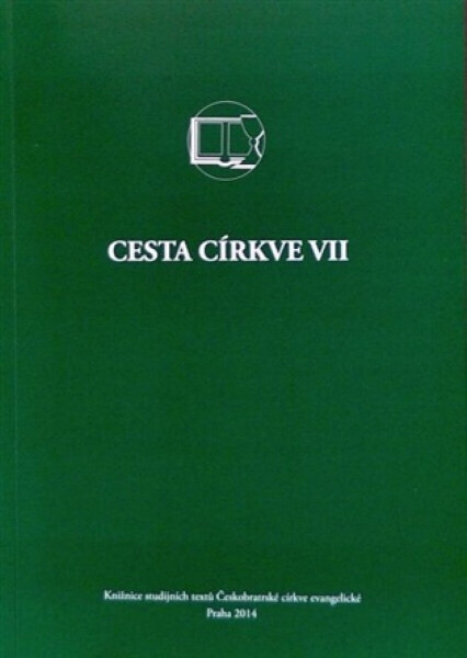 Cesta církve VII