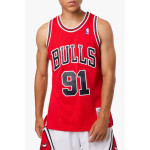 Mitchell & Ness Chicago Bulls NBA Dennis Rodman M tričko SMJYGS18154-CBUSCAR97DRD pánské M