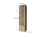 ARTEN (NANO Systems s.r.o.) Vysoká vitrína DOORSET-1W2S (Dub navarra) VYSOKA-VITRINA-DOORSET-1W2S