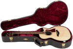 Taylor Builder's Edition 814ce Next Generation