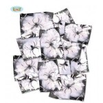 Ptakoviny.cz Pavučinka s pavoučkem