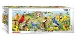 EUROGRAPHICS Panoramatické puzzle Zahradní ptáci