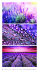 Nástěnný kalendář 2027 Graspo Colours