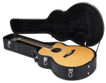 PRS SE Angelus AE60E Natural