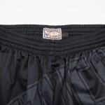 Mitchell & Ness Pánské kraťasy Vancouver Grizzlies NBA Big Face 4.0 Shorts Velikost: XL