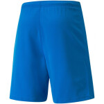 Pánské kraťasy teamRISE Short 704942 02 Puma