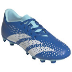 Fotbalové boty adidas Predator Accuracy.4 FxG GZ0010