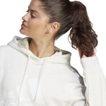 Mikina adidas Essentials Big Logo Regular Fleece IM0252