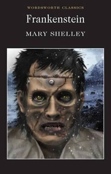 Frankenstein (anglicky) Mary Shelley