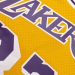 Mitchell & Ness Pánský dres Los Angeles Lakers NBA Kareem Abdul-Jabbar #33 1984-85 Swingman Velikost: L
