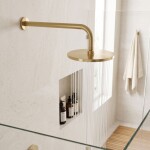 REA - Kulaté sprchové rameno JS-9021 40cm Brush gold REA-P6850