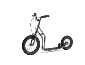 Koloběžka Yedoo WZOOM New grey