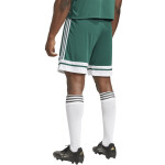 Šortky adidas Squadra 25 M JH3411 L