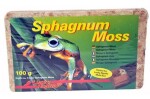 Lucky Reptile Sphagnum Moos rašeliník 100 g