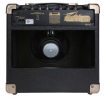 Peavey Ecoustic E20