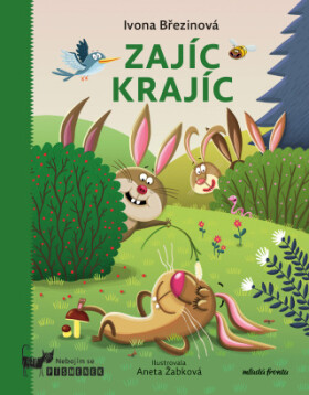 Zajíc Krajíc - Ivona Březinová - e-kniha