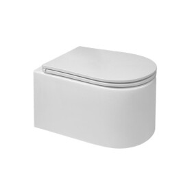 MEREO - WC závěsné kapotované, RIMLESS, 495x360x370, keramické, vč. sedátka CSS113S VSD84S1