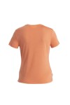 ICEBREAKER Wmns Merino Core SS Tee, Ember velikost: XS