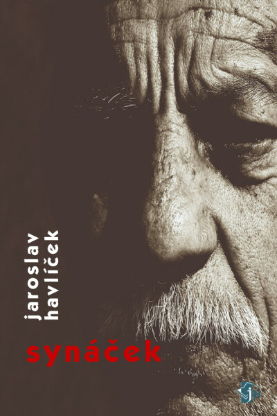 Synáček - Jaroslav Havlíček