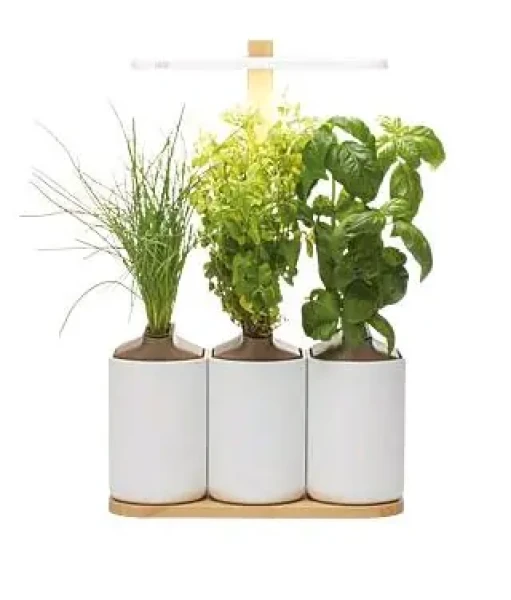 Pret a Pousser Lilo Connect UE