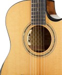 Cort Gold Edge NAT