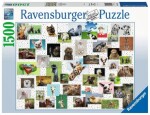 RAVENSBURGER Koláž se zvířecími ksichtíky 1500 dílků