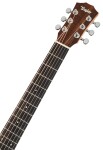 Taylor BT2